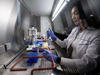 Una investigadora manipula muestras biológicas en un laboratorio de investigación sobre cáncer hematológico en República Checa.