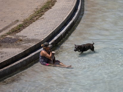 Una mujer con su perro, en el estanque artificial del parque de la Espanya Industrial, uno de los refugios climáticos de Barcelona, el 3 de agosto.