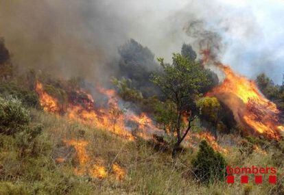 Un incendi crema 15 hectàrees a Gratallops.