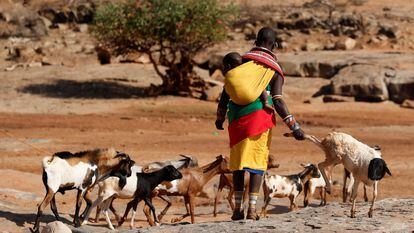 Pastoreo en Samburu, Kenia, una zona afectada por la sequía, este 27 de julio.