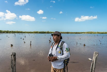 El guía turístico Efraín Pérez insiste siempre en un mensaje para concienciar a los visitantes de que deben proteger los manglares. "Que tengan conciencia y aprecien ya que ofrece beneficios ecosistemáticos como que es una barrera en contra de huracanes, es una zona de criadero de peces, refugio de aves y diversidad de flora que permite. Además puede absorver dioxido de carbono… ¡Más que las selvas tropicales!", explica.