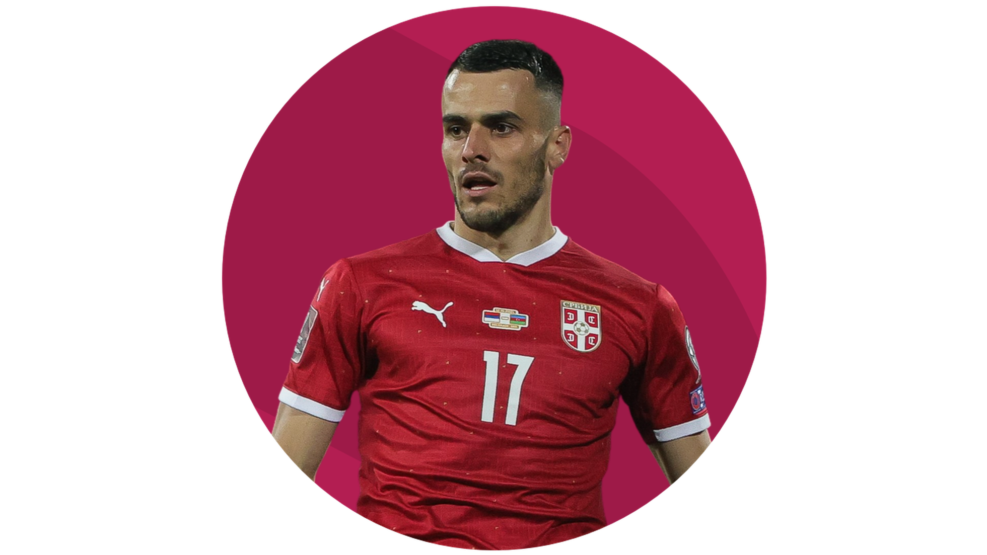 Segunda Camiseta Serbia Jugador Dmitrovic 2022