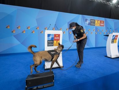 Una agente de la Policía con un perro adiestrado para el dispositivo.
