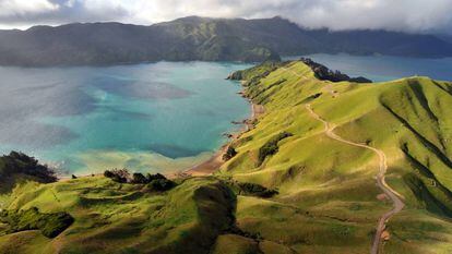 Bahías de Marlborough Sounds (Nueva Zelanda). 
 