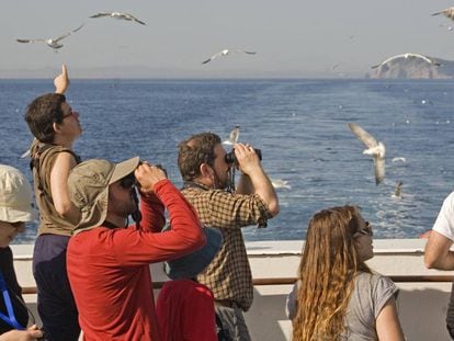 Un grupo de aficionados a la ornitología en una salida organizada por SEO BirdLife.
