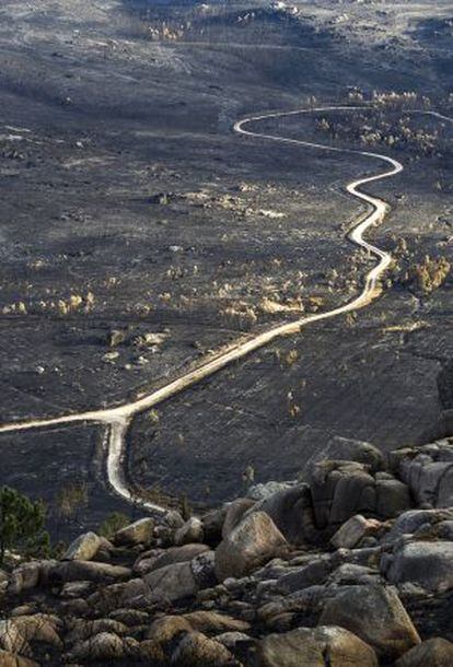 El rastro de las llamas que arrasaron casi la totalidad del monte Pindo en Carnota (A Coruña), esta semana.