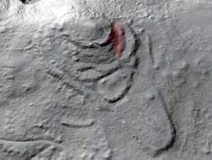 Imagen realizada con haz de láser (sistema LIDAR) del castro sin excavar de Sendín (Lourenzá). La zona coloreada, en el interior del poblado fortificado, ha sido replantada con eucaliptos.