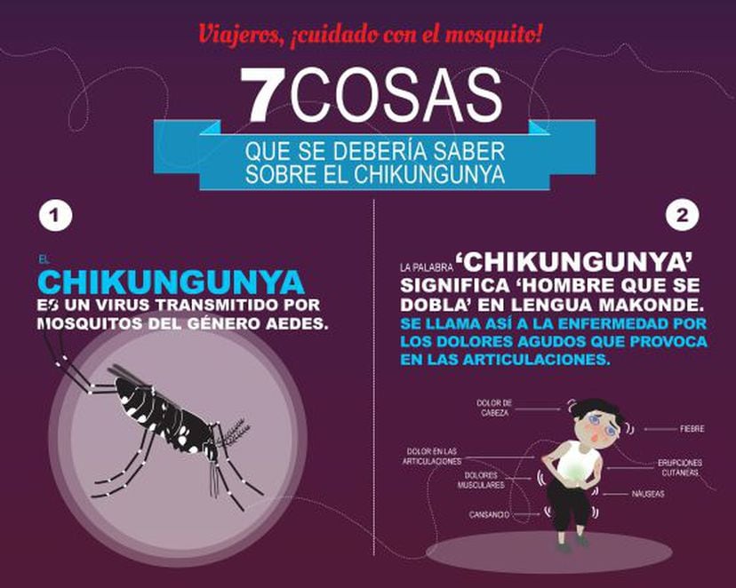 El chikungunya llega a Colombia Futuro EL PAÍS