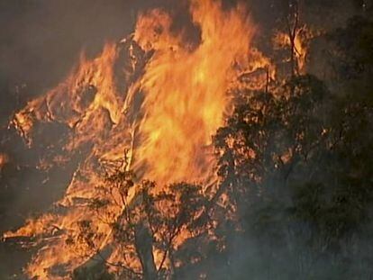 Imagen aérea del fuego en Bundoora, en el Estado de Victoria, este lunes.