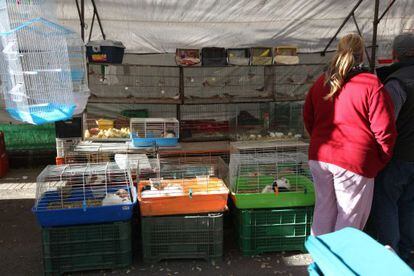 Una paradeta amb animals del mercat de Tarragona.