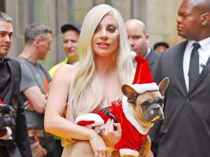 Lady Gaga (y a la izquierda su expareja Taylor Kinney), con sus bulldog franceses en diciembre de 2015 en Nueva York.