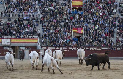 El cuarto toro fue devuelto a los corrales entre las protestas del público.