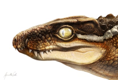 Recreación del aspecto en vida de la nueva especie de cocodrilo 'Ogresuchus furatus' /Aina i Agnès Amblás, ICP.