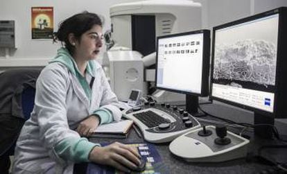 La científica Valeska Morales, en el laboratorio de bioarqueología, donde  se analizan en el microscopio elementos de las momias.