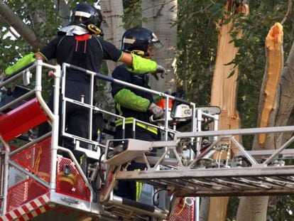 Bomberos del Ayuntamiento apean la rama ca&iacute;da en el Retiro.