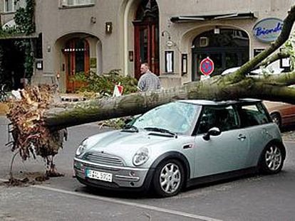 Árbol caído sobre un coche tras la fuerte tormenta. PLANO GENERAL - OBJETO