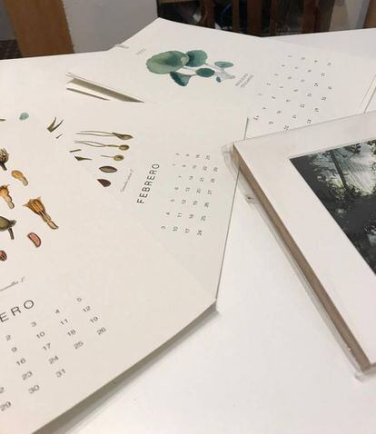 Láminas, fotografías y calendarios de Planthae.