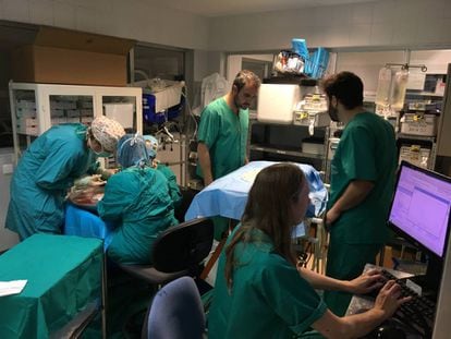 Rubén Ciria, en el centro de la imagen, durante los experimentos de
 perfusión en el Hospital Reina Sofía de Córdoba.