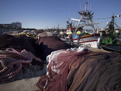 Redes recogidas en el puerto de Punta Umbr&iacute;a (Huelva), uno de los m&aacute;s afectados por la reducci&oacute;n de capturas de sardinas. 