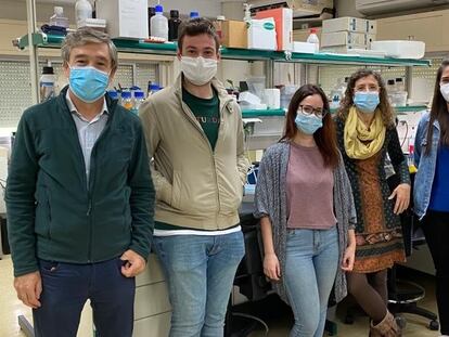 Grupo de investigación del Departamento de Biología Celular de la Universidad de Sevilla. De izquierda a derecha: Manuel Muñiz, Alejandro Cortés, Susana Sabido, Auxiliadora Aguilera, Sofía Rodriguez y Sergio López.