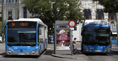 Dos autobuses de la EMT en Madrid. 