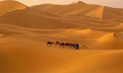 El desierto del S&aacute;hara, al norte de &Aacute;frica, es uno de los m&aacute;s bellos del mundo.
