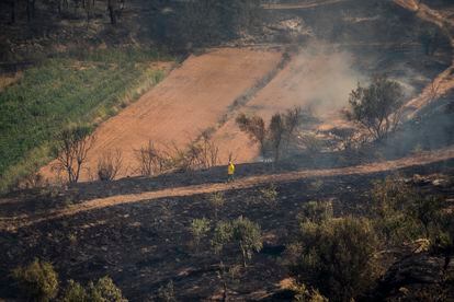 El incendio en una zona agricola en las afueras de Manresa.
