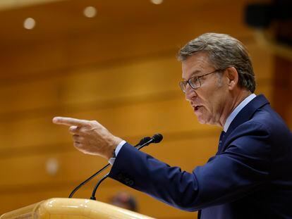 El líder del PP, Alberto Núñez Feijóo, interviene en el pleno del Senado celebrado el pasado martes en Madrid.