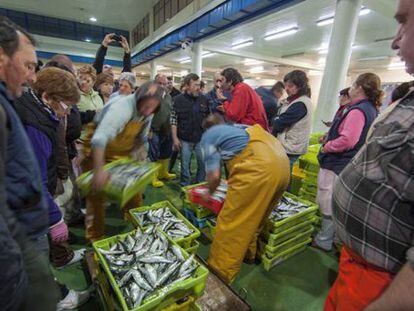 Venta de pescado en la lonja de O Berb&eacute;s, en Vigo.