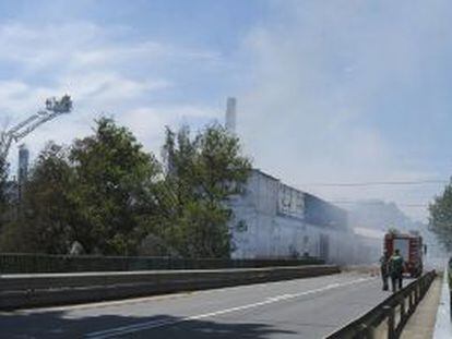 Efectivos del cuerpo de bomberos junto a almazara de la Moraleja (C&aacute;ceres).