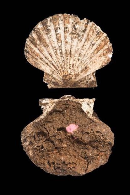 Una concha de vieira con una especie de colorete rosa de 2.000 años de antigüedad.
