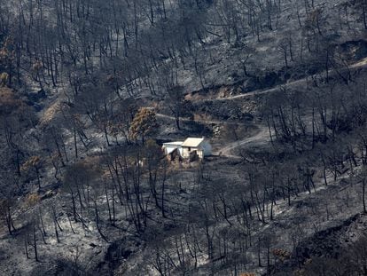 Una vivienda en medio de un monte quemado en Sierra Bermeja, este sábado.
