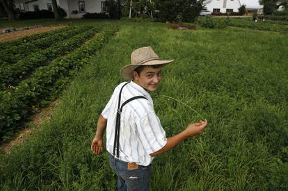 Un niño perteneciente a una familia menonita camina por un campo en la granja familiar en New Holland, Pensilvania (EE UU).