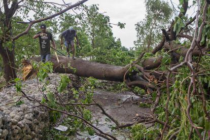 Dos homes passen sobre un arbre caigut després del pas de l'huracà Matthew a la població de Fredrik, Haití.