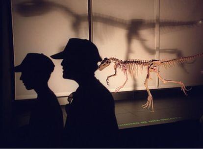 Réplica de un esqueleto de velocirraptor en Dinópolis, parque de ocio dedicado a los dinosaurios en Teruel
