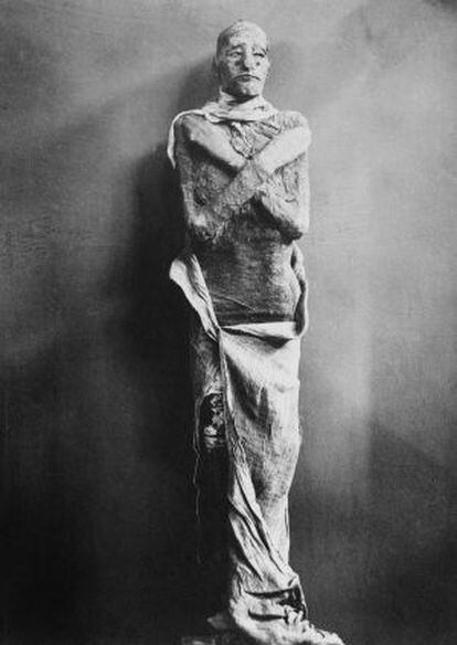 Una imagen cl&aacute;sica de la momia de Rams&eacute;s III, la herida del cuello est&aacute; oculta por capas de capas de lino