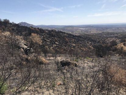 Paraje de Cadalso de los Vidrios, destrozado por las llamas.