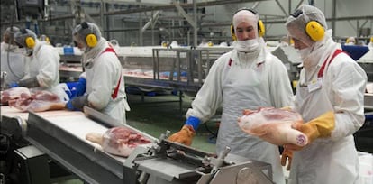 Trabajadores de Campofrío en la planta de la compañía en Burgos.