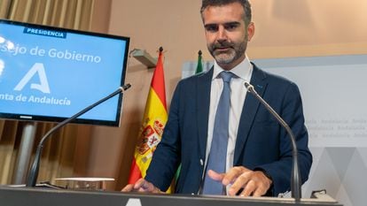 El consejero de Sostenibilidad, Medio Ambiente y Economía Azul, Ramón Fernández Pacheco, durante la conferencia de prensa posterior al Consejo de Gobierno andaluz, este martes en Sevilla.