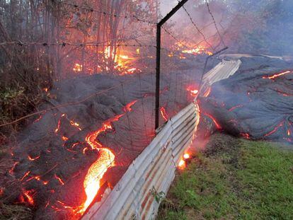 El flujo de lava avanza lentamente desde junio pasado hacia Pahoa, de apenas 1.000 habitantes y situado en la Isla Grande de Hawai, y amenaza con destruir casas y cortar una carretera. En la imagen, el río de lava destroza parte de una alambrada, el 31 de octubre de 2014.
