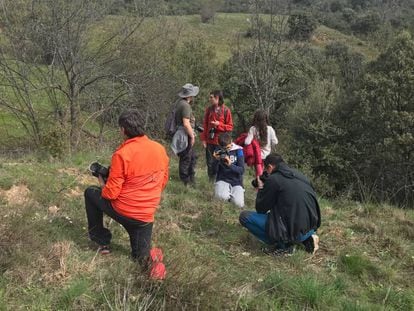 Actividad de observación de la naturaleza. 