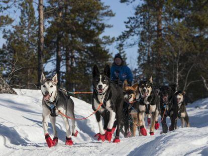 La corredora Birgitte Nass en su trineo esta semana en la carrera de Finnmarkslopet, en Noruega.