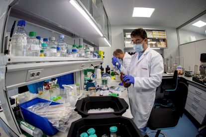 Trabajadores en los laboratorios de la empresa Algenex, dedicada a la producción de vacunas.