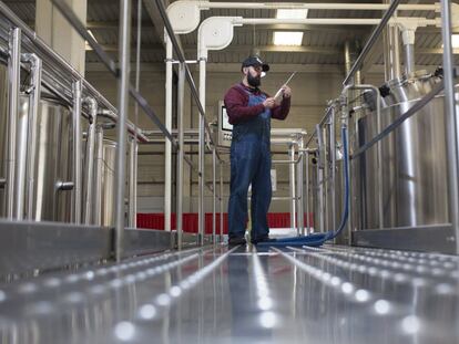 Un empleado monitoriza los procesos automatizados en la fabricación industrial de cerveza.