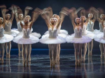 Representación de la obra de danza 'El lago de los cisnes' en el Teatro de la Maestranza de Sevilla.