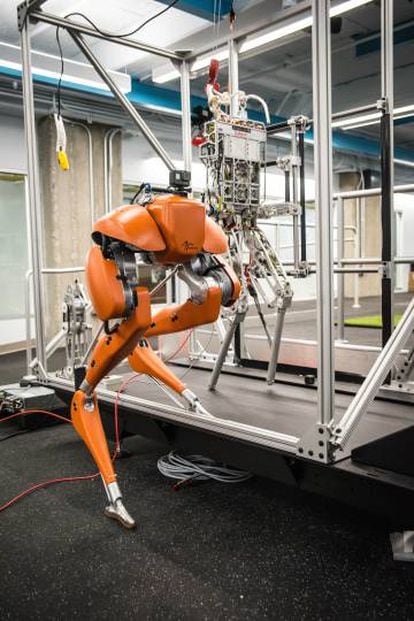 El laboratorio incluye varias pistas y una cinta de correr de cuatro metros de largo capaz de alcanzar velocidades de más de 60 kilómetros por hora para probar los andares de carrera robótica de alta velocidad.