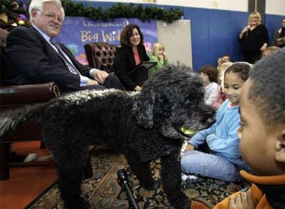 La mascota del senador Ted Kennedy es un perro de agua portugués, la raza escogida por los Obama.