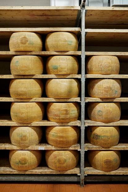 DO Parmigiano Reggiano cheeses on the shelves of Peck.