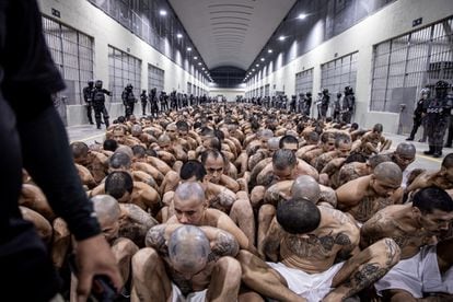 Prisioneros en el Centro de Confinamiento del Terrorismo en Tecoluca (El Salvador) el pasado 15 de marzo.