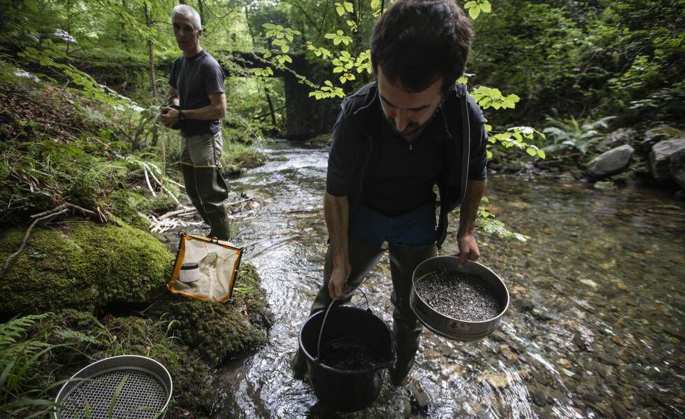 Aitor Larrañaga y Arturo Elosegi (detrás) toman muestras científicas en un afluente del río Artikutza.